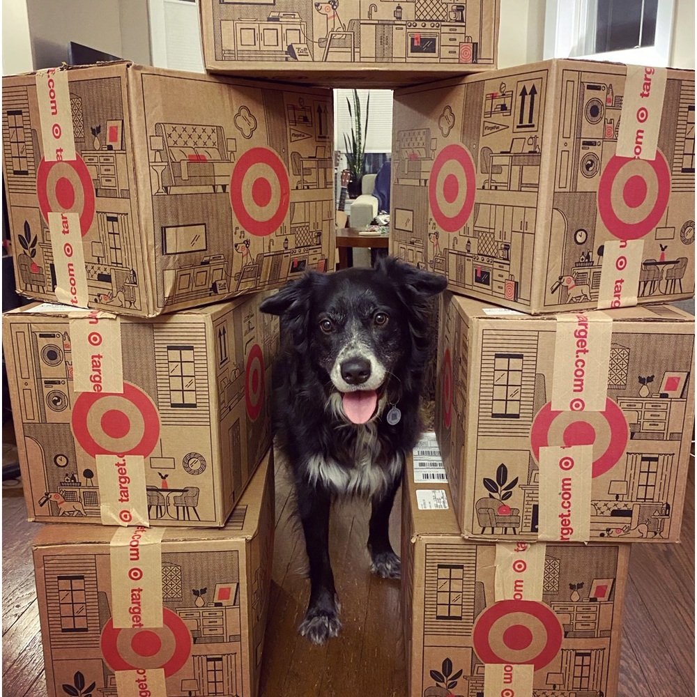 Meet your Posher, Maya